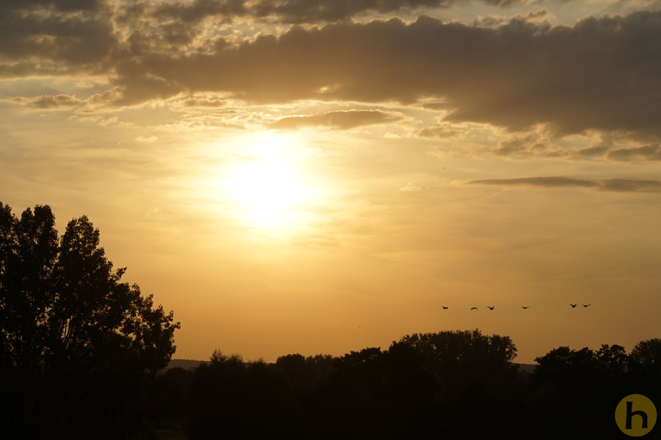 Abendleuchten