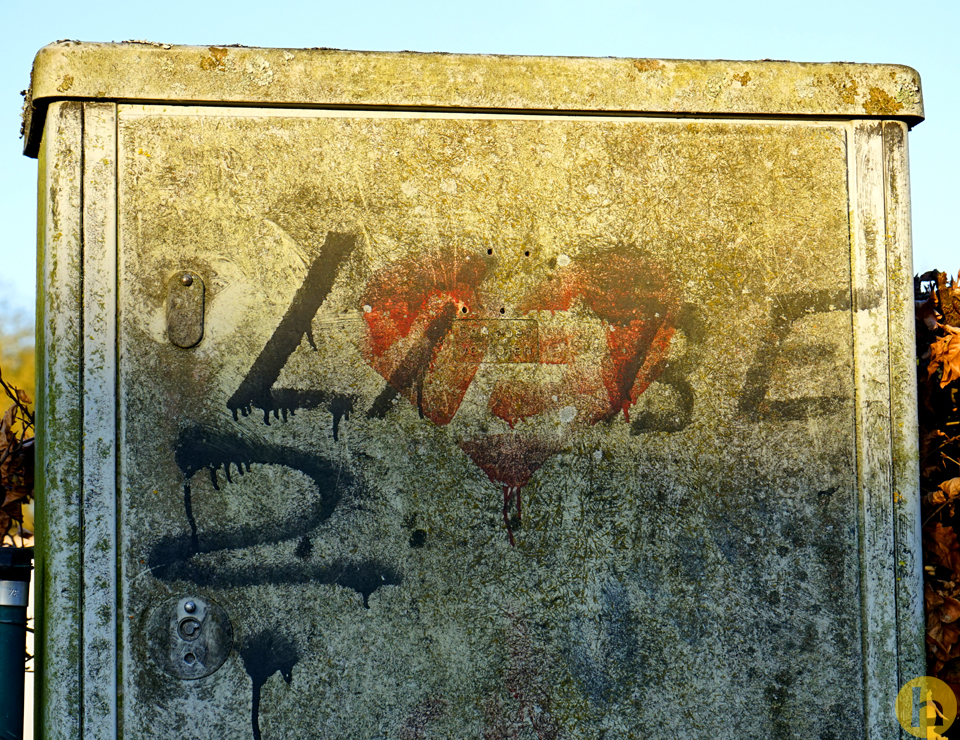 Einstige Frühlingsgefühle