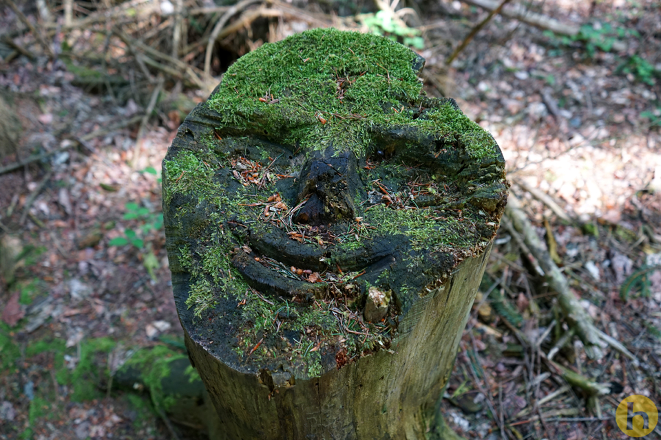 Ent