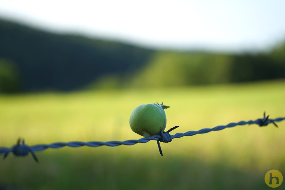 Grenzschmuck