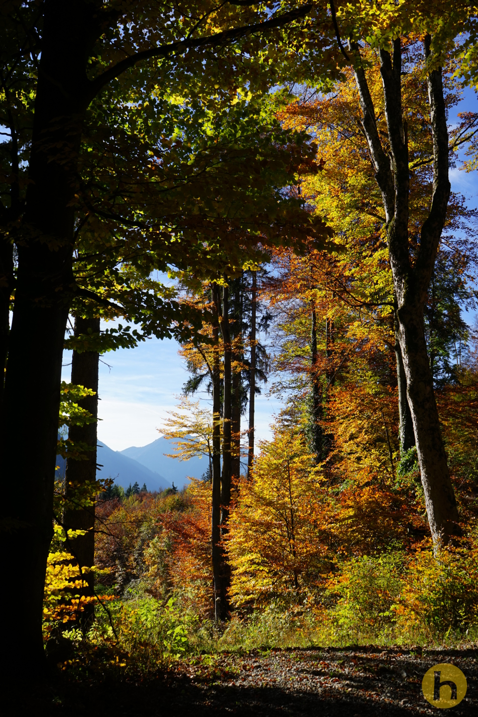 herbstleuchten