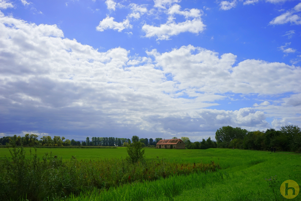 Reinheimer Teich