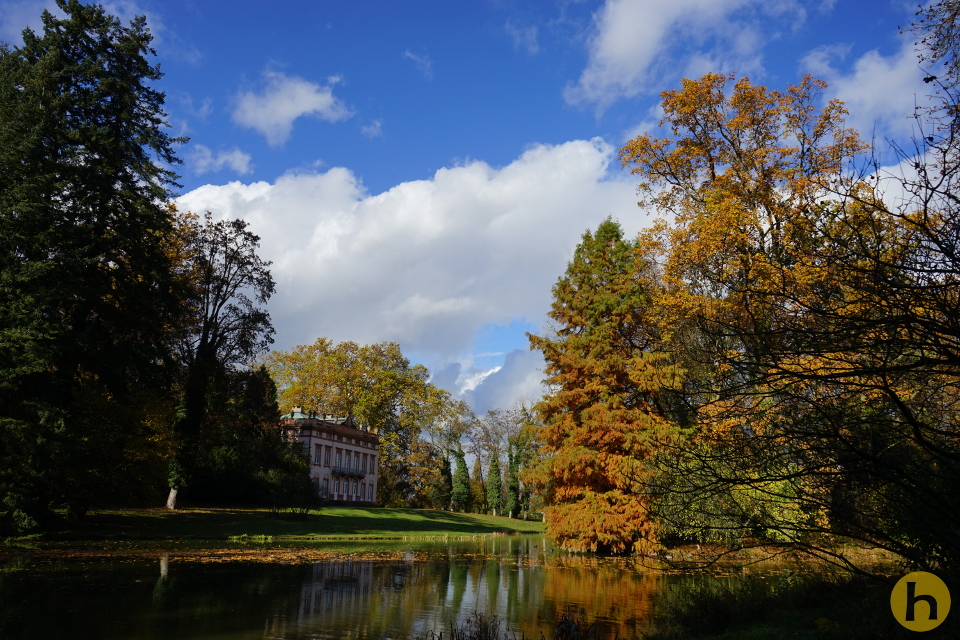 Schönbusch