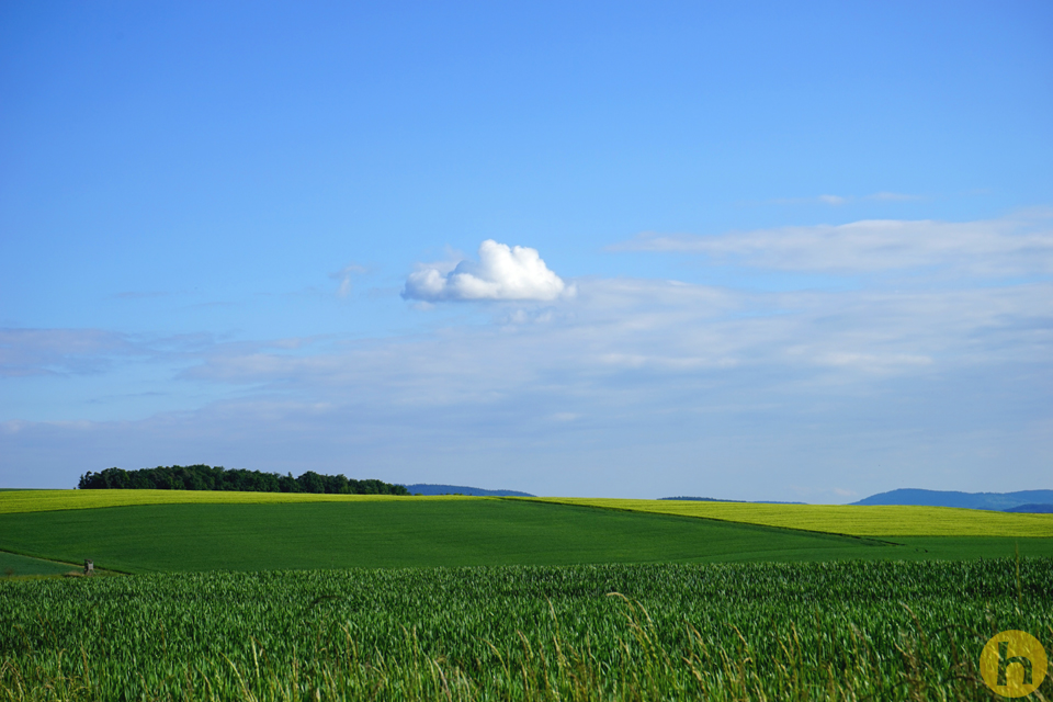 blaugelbgrün