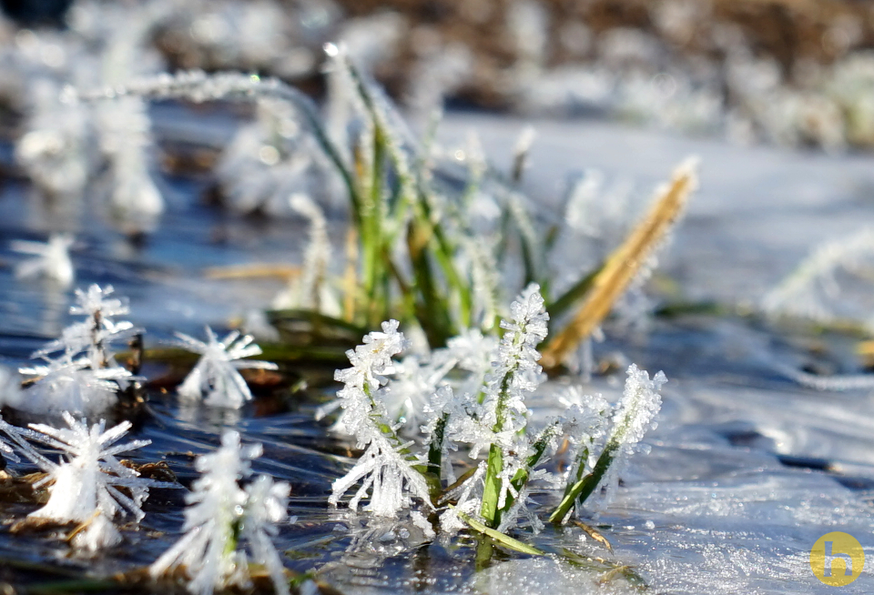 winterwonders_inminiature